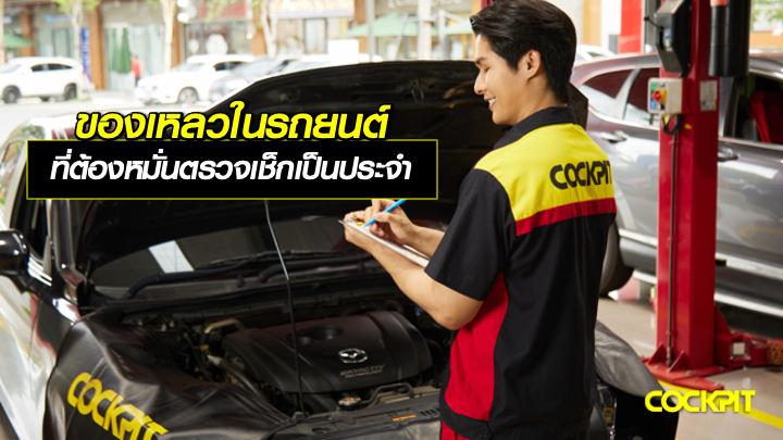 ของเหลวในรถยนต์ ที่ต้องหมั่นตรวจเช็กเป็นประจำ เพื่อความปลอดภัย