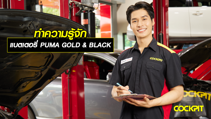 ทำความรู้จักกับแบตเตอรี่ PUMA GOLD & BLACK เหมาะกับรถแบบไหน?